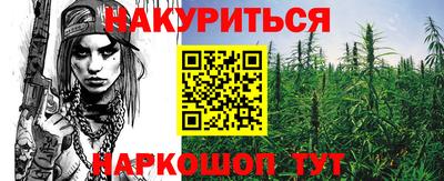 прущие грибы Пенза