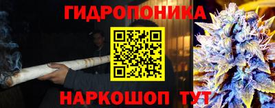 хмурый Партизанск