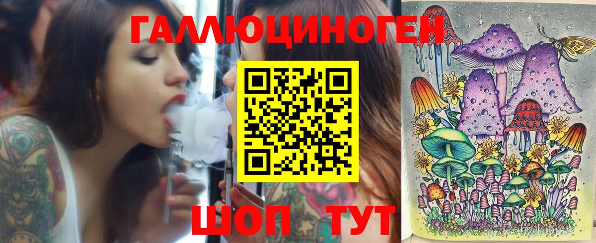 Псилоцибиновые грибы прущие грибы Сосновый Бор