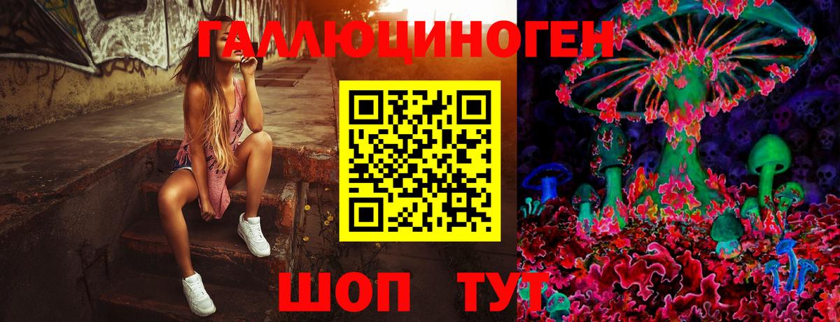 Сосновый Бор  Псилоцибиновые грибы мухоморы  Галлюциногенные грибы MAGIC MUSHROOMS  Вход с VPN 